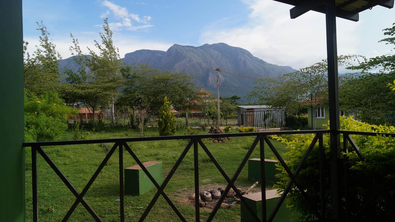 Mountain View Hotel Masinagudi Exterior foto