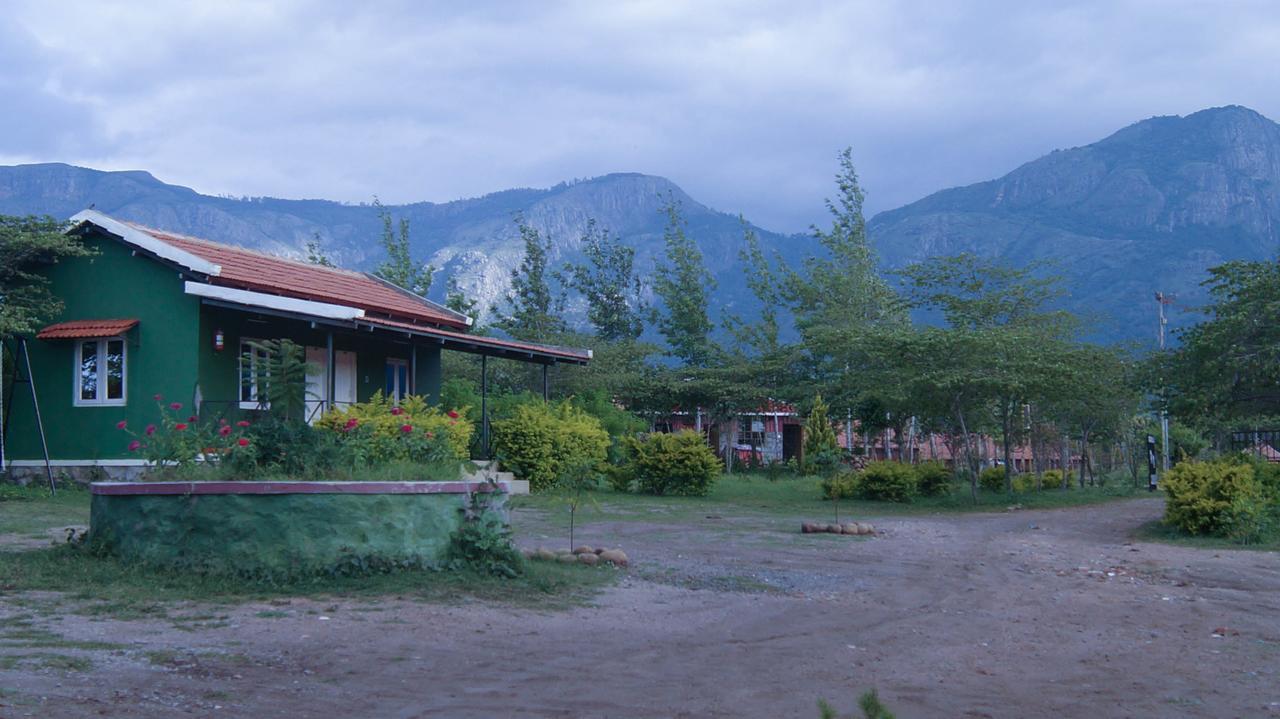 Mountain View Hotel Masinagudi Exterior foto