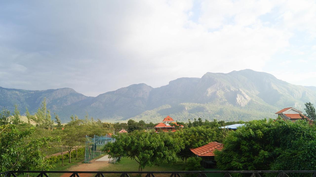 Mountain View Hotel Masinagudi Exterior foto